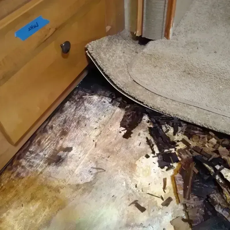 Best Wood Floor Water Damage Service in Greenlee County, AZ